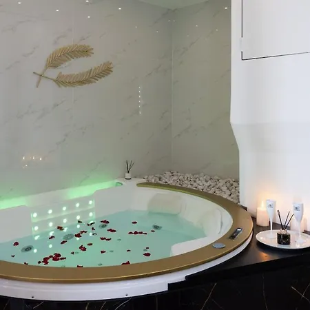 La Palme D'or Jacuzzi דירה קאן