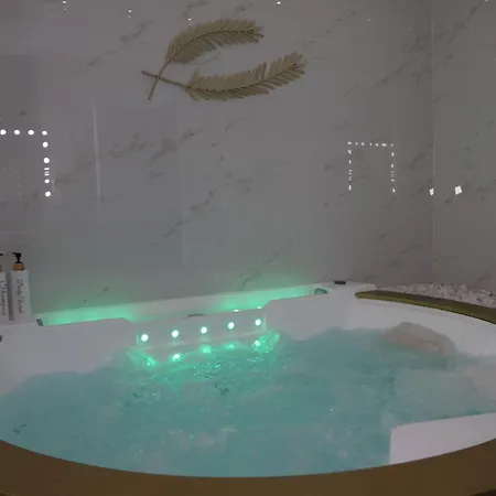 דירה La Palme D'or Jacuzzi קאן