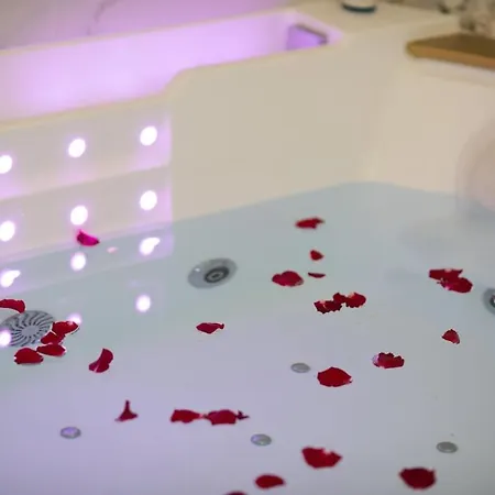 דירה La Palme D'or Jacuzzi קאן